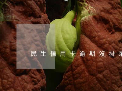 民生信用卡逾期沒掛呆賬(民生銀行呆賬)