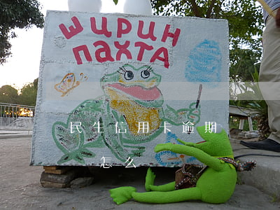 民生信用卡逾期沒錢還(民生銀行信用卡逾期會怎么樣)