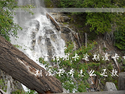 民生信用卡逾期没卡号怎么还 民生信用卡逾期没卡号怎么还款