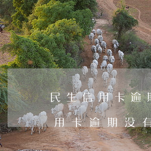 民生信用卡逾期没有短信没有电话-民生信用卡逾期没有短信没有电话通知