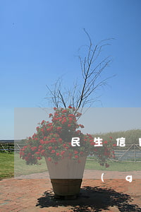 民生信用卡逾期減免告知(民生信用卡逾期一個(gè)月補(bǔ)救)