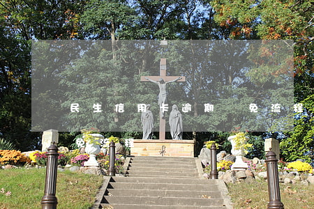 民生信用卡逾期減免流程(民生信用卡逾期減免流程)