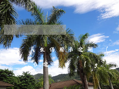 民生信用卡逾期無(wú)力還款(民生信用卡逾期一個(gè)月補(bǔ)救)