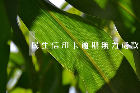 民生信用卡逾期無力還款(民生貸貸卡逾期)