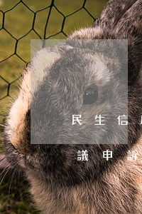 民生信用卡逾期異議申請(申請信用卡逾期異議申訴的理由)