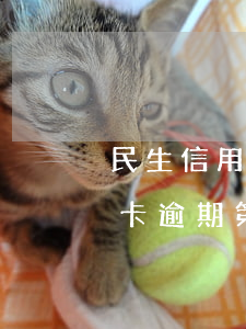 民生信用卡逾期第4天還清上征信(民生信用卡逾期第4天還清上征信)