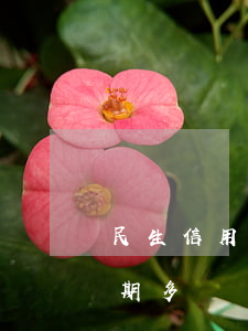 民生信用卡逾期總行報案(民生銀行信用卡逾期多長時間會被起訴)