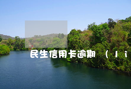 民生信用卡逾期聯(lián)系(民生 逾期)