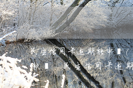 民生信用卡逾期能申請(qǐng)延期還款嗎-民生信用卡逾期能申請(qǐng)延期還款嗎
