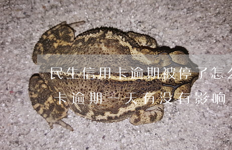 民生信用卡逾期被停了怎么办 民生银行信用卡逾期一天有没有影响?
