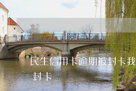 民生信用卡逾期被封卡(我民生6万信用卡已封卡)