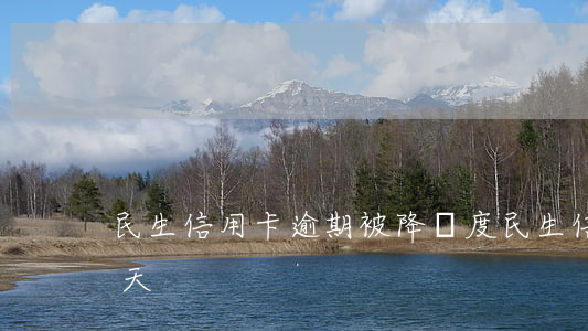民生信用卡逾期被降額度(民生信用卡 逾期一天)