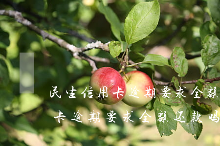 民生信用卡逾期要求全额还款吗-民生信用卡逾期要求全额还款吗是真的吗