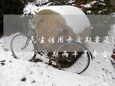 民生信用卡逾期要还1万才能分期-民生银行逾期两年了本金一万五可以协商分期吗