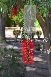 民生信用卡逾期要還1萬才能分期-民生信用卡逾期要還1萬才能分期嗎