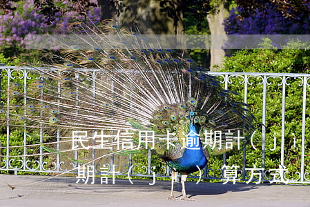 民生信用卡逾期計(jì)算(民生信用卡逾期計(jì)算方式)