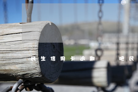 民生信用卡逾期討論吧(民生 逾期)
