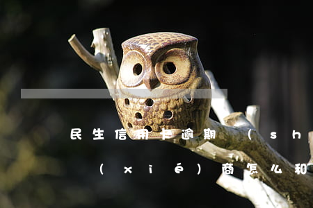 民生信用卡逾期說(shuō)先還首付再協(xié)商(怎么和民生信用卡協(xié)商還款)
