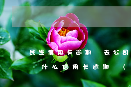 民生信用卡逾期讓去公司協(xié)商-為什么信用卡逾期協(xié)商不了