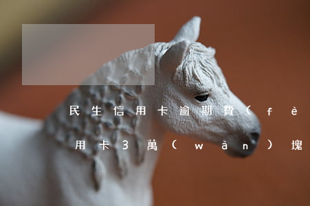 民生信用卡逾期費(fèi)用翻倍(民生信用卡3萬(wàn)塊逾期5個(gè)月被起訴了怎么辦)