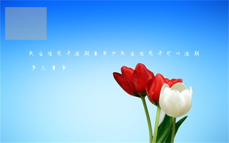 民生信用卡逾期費多少(民生信用卡可以逾期多久沒事)