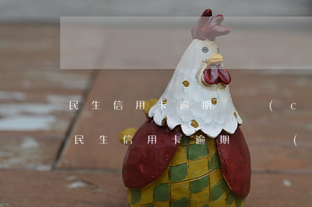 民生信用卡逾期資產(chǎn)保全措施(民生信用卡逾期資產(chǎn)保全措施是什么)