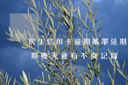 民生信用卡逾期賬單延期(民生銀行信用卡逾期幾天會有不良記錄)