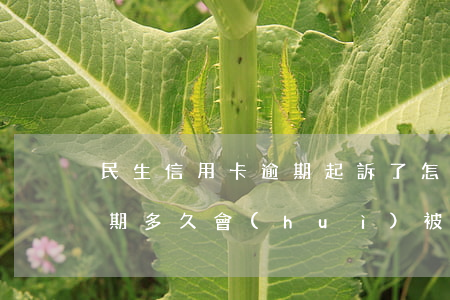 民生信用卡逾期起訴了怎么辦(民生信用卡逾期多久會(huì)被起訴怎么處理)