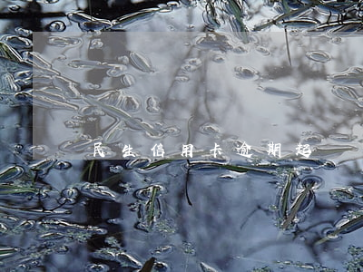民生信用卡逾期起訴書怎么寫
