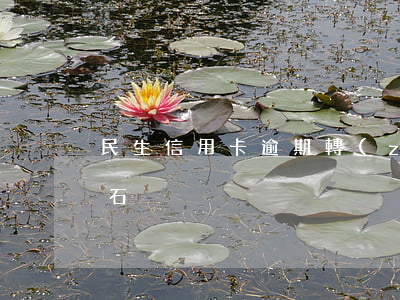 民生信用卡逾期轉(zhuǎn)到鴻泰鼎石