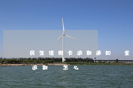 民生信用卡逾期通知還全款(民生銀行信用卡逾期會怎么樣)
