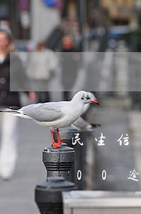 民生信用卡逾期逾期7个月(民生信用卡7000逾期半年会怎么办)