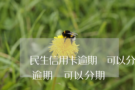 民生信用卡逾期還可以分期嗎-民生信用卡逾期還可以分期嗎嗎