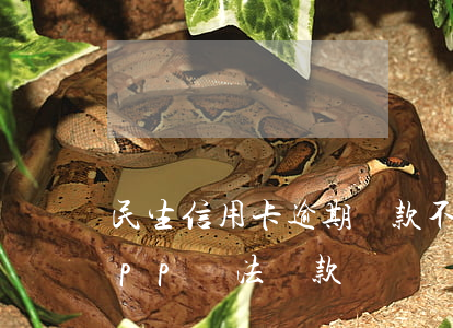 民生信用卡逾期還款不能使用(民生信用卡app無法還款)