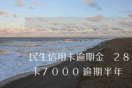 民生信用卡逾期金額28000-民生信用卡7000逾期半年會(huì)怎么辦