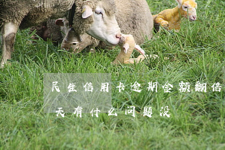 民生信用卡逾期金额翻倍(民生信用卡逾期一天有什么问题没?)