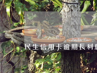 民生信用卡逾期長利息 便民卡利息逾期