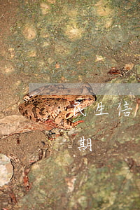 民生信用卡逾期顯示卡異常(為什么信用卡逾期)