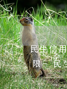 民生信用卡違約金的法律規(guī)定上限-民生銀行的信用卡逾期了違約金能取消嗎