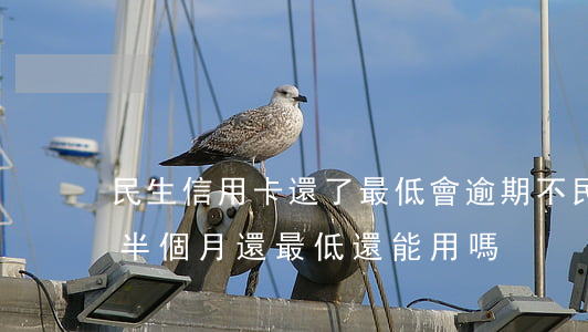 民生信用卡還了最低會逾期不 民生銀行逾期半個月,還最低還能用嗎
