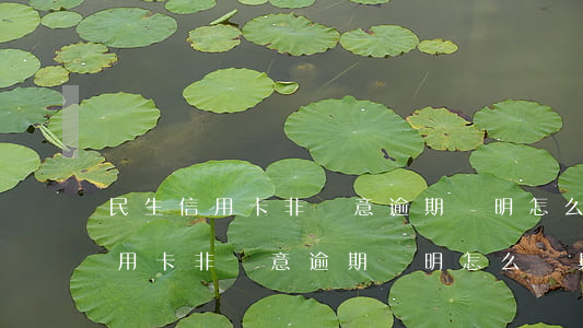 民生信用卡非惡意逾期證明怎么開-民生信用卡非惡意逾期證明怎么開具