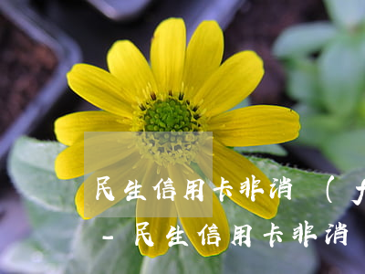 民生信用卡非消費(fèi)用途被停使用-民生信用卡非消費(fèi)用途被停使用怎么辦