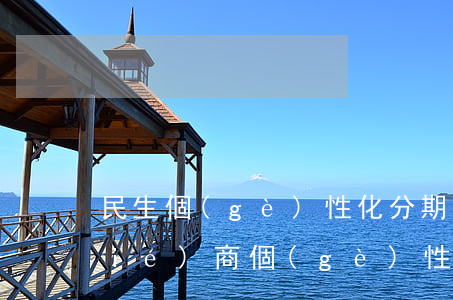民生個(gè)性化分期難溝通（民生協(xié)商個(gè)性化分期）
