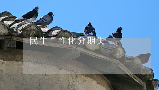 民生個性化分期失敗