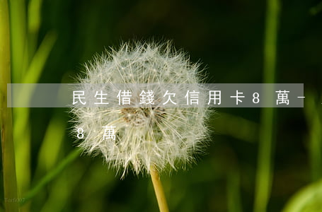 民生借錢欠信用卡8萬-民生借錢欠信用卡8萬
