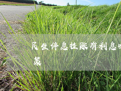 民生停息挂账有利息吗(民生银行停息分期政策)
