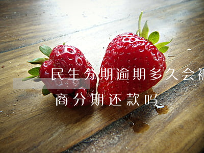 民生分期逾期多久会被起诉(民生逾期可以协商分期还款吗)