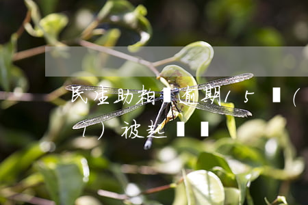 民生助粒貸逾期15萬(wàn)會(huì)被起訴嗎