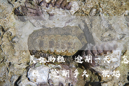民生助粒貸逾期一天會怎么樣上海-民生助粒貸逾期多久會被起訴