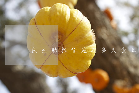 民生助粒贷逾期多久会上门招商-